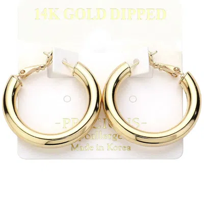 Fashnzfab 14k Gold Dipped Hypoallergenic Hoop Earrings