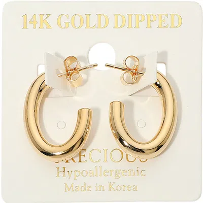 Fashnzfab 14k Gold Dipped Hypoallergenic Oval Hoop Earrings