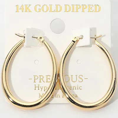 Fashnzfab 14k Gold Dipped Hypoallergenic Oval Pin Catch Hoop Earrings - Gold