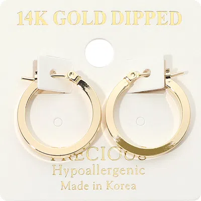 Fashnzfab 14k Gold Dipped Hypoallergenic Polished Pin Catch Hoop Earrings
