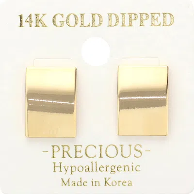 Fashnzfab 14k Gold Dipped Hypoallergenic Rectangular Plate Stud Earrings - Gold