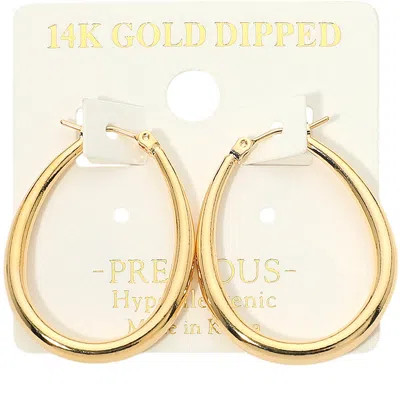 Fashnzfab 14k Gold Dipped Hypoallergenic Teardrop Pin Catch Hoop Earrings