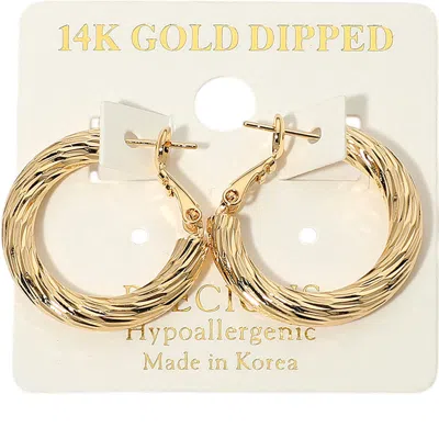 Fashnzfab 14k Gold Dipped Hypoallergenic Textured Hoop Earrings