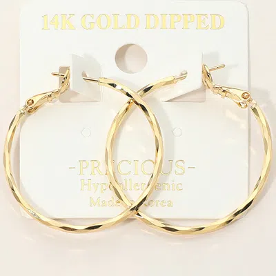 Fashnzfab 14k Gold Dipped Hypoallergenic Twisted Hoop Earrings