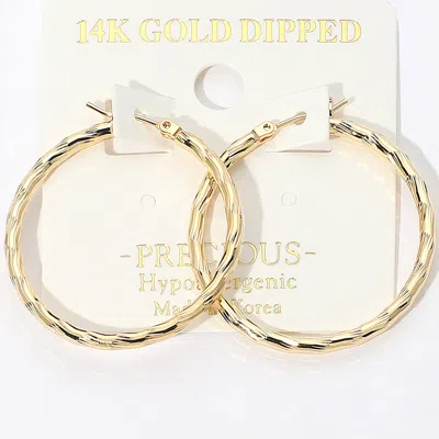 Fashnzfab 14k Gold Dipped Hypoallergenic Twisted Hoop Pin Catch Earrings