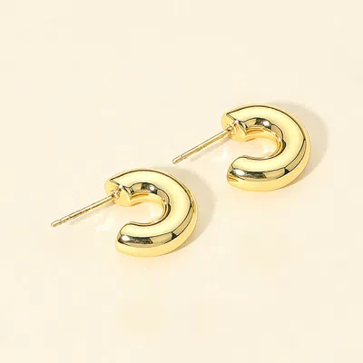 Fashnzfab 14k Gold Dipped Mini Chunky Open Hoop Earrings