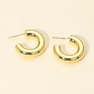 Fashnzfab 14k Gold Dipped Small Chunky Open Hoop Earrings