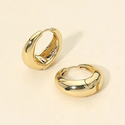 Fashnzfab 14k Gold Dipped Mini Teardrop Huggie Hoop Earrings
