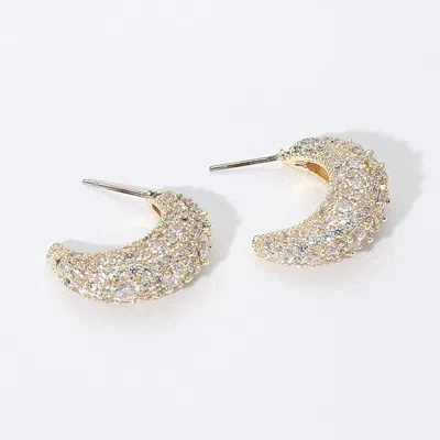Fashnzfab 14k Gold Plated Cz Stone Paved Hoop Earrings
