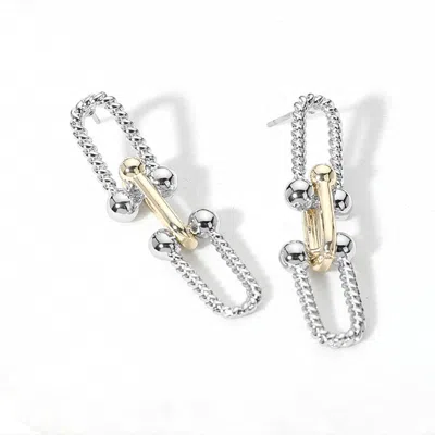 Fashnzfab 14k Gold Plated Two Tone Hardware Link Earrings