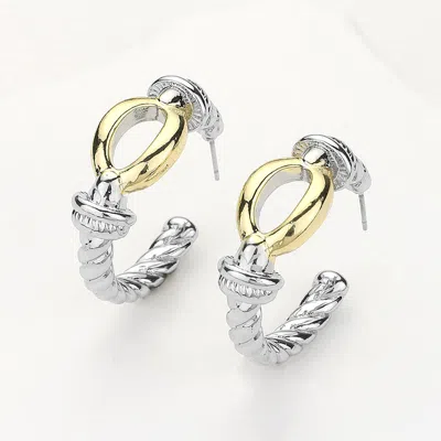 Fashnzfab 14k Gold Plated Two Tone Loop Hoop Earrings - Two Tone