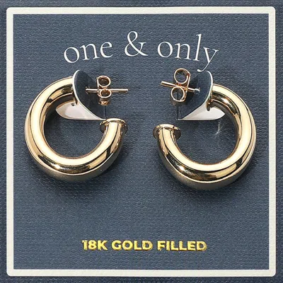 Fashnzfab 18k Gold Filled Hoop Earrings Gold