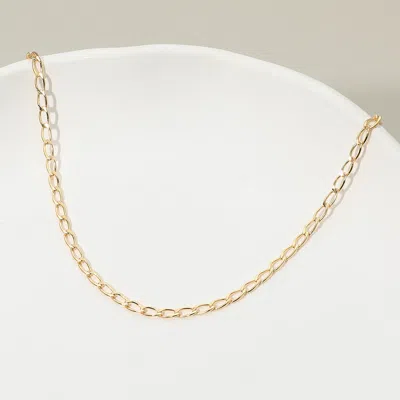 Fashnzfab 18k Gold Filled Oval Link Chain Necklace - Gold In Silver