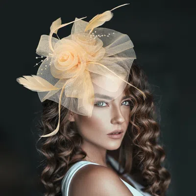Fashnzfab 8" X 8" Flower Feather Pearl Mesh Bow Fascinator / Headband In Neutral