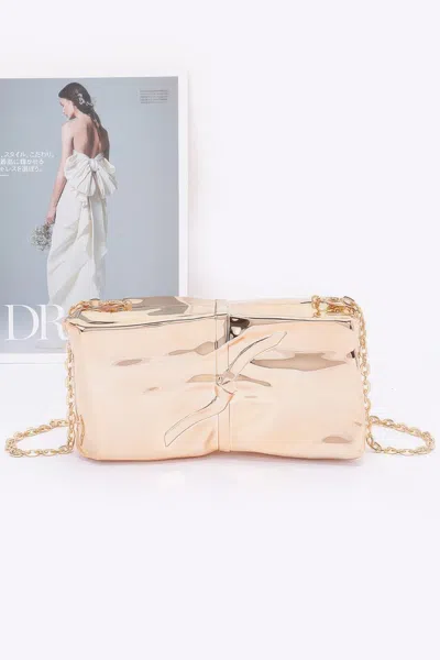 Fashnzfab Acrylic Case Bag In Gold