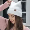 Fashnzfab Beanie With Cat Ears In Multi