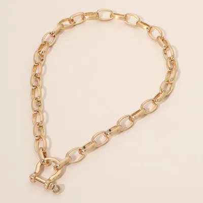 Fashnzfab Bold Carabiner Toggle Chunky Chain Necklace In Gold