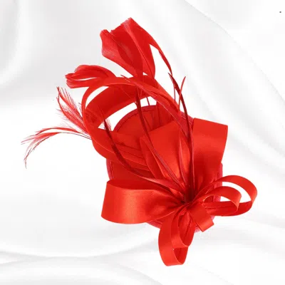 Fashnzfab Bow Feather Mesh Fascinator Hair Clip Headband In Animal Print