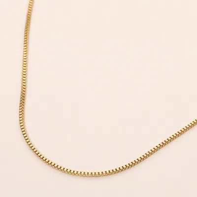 Fashnzfab Box Chain Necklace In Gold
