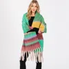 Fashnzfab Brushed Multi Color Stripe Scarf In Green