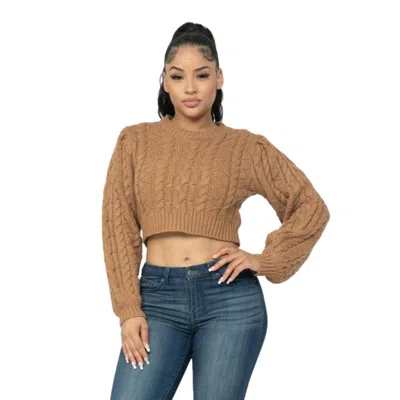Fashnzfab Cable Pullover Top In Brown