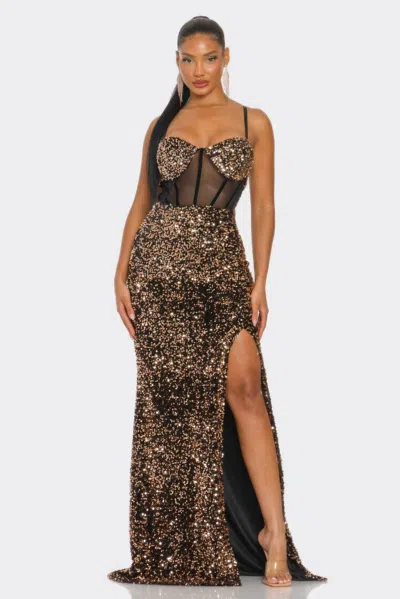 Fashnzfab Cecily Teddy Velvet Corset Maxi Dress In Multi