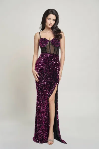 Fashnzfab Cecily Teddy Velvet Corset Maxi Dress In Pink