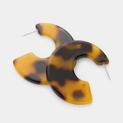 Fashnzfab Celluloid Acetate Wide Hoop Earrings - Tortoise In Brown