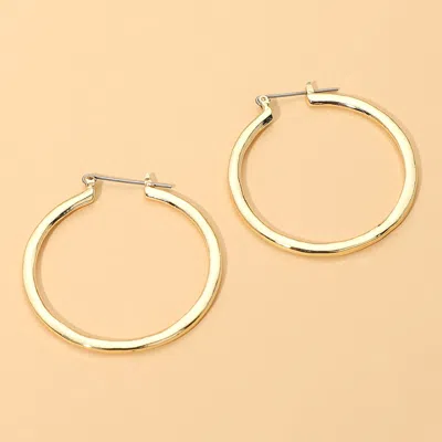 Fashnzfab Classic Round Pin Catch Hoop Earrings In Gold