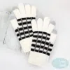 Fashnzfab Cozy Colorblocked Smart Touch Gloves In White