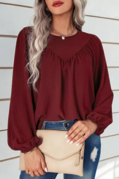 Fashnzfab Crew Neck Solid Long Lantern Sleeve Shirt