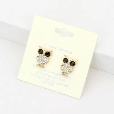 Fashnzfab Crystal Owl Stud Earrings In Black