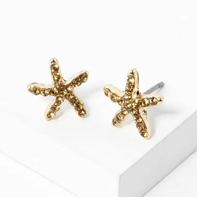 Fashnzfab Crystal Paved Starfish Stud Earrings In Brown