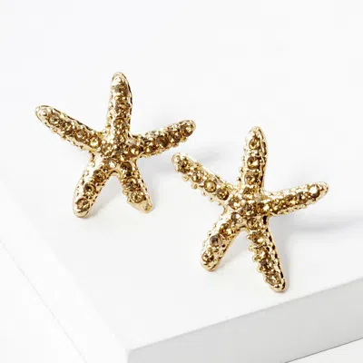 Fashnzfab Crystal Paved Starfish Stud Earrings - Lt Col Topaz In Silver