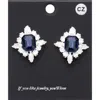 Fashnzfab Cz Rectangle Stone Cluster Pointed Evening Stud Earrings In Blue