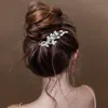 Fashnzfab Cz Stone Paved Leaf Vine Bunch Hair Comb In Metallic