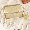 Fashnzfab Double Tassel Pointed Color Block Straw Crossbody Bag In Multi