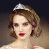 Fashnzfab Elegant Rhinestone Pave Crystal Pageant Princess Tiara In Silver