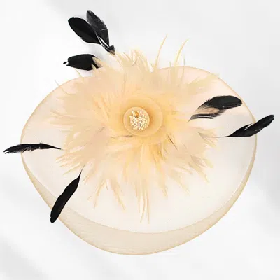 Fashnzfab Feather Pearl Cluster Mesh Flower Fascinator / Headband In Multi