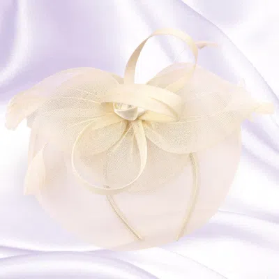 Fashnzfab Flower Feather Fascinator / Headband In Multi