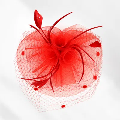 Fashnzfab Flower Feather Mesh Bow Fascinator / Headband In Red