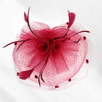 Fashnzfab Flower Feather Mesh Bow Fascinator / Headband In Red
