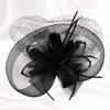 Fashnzfab Flower Feather Mesh Fascinator / Headband In Black