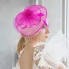 Fashnzfab Flower Feather Mesh Fascinator / Headband In Pink