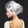 Fashnzfab Flower Feather Mesh Fascinator / Headband In White