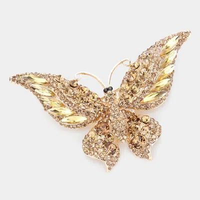 Fashnzfab Glass Crystal Butterfly Pin Brooch In Multi