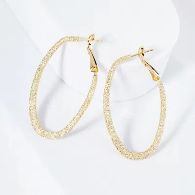 Fashnzfab Gold Plated Hypoallergenic Textured Oval Hoop Earrings