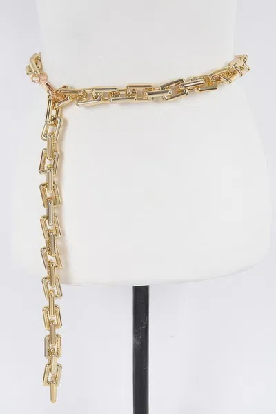 Fashnzfab Link Chain Belt In Gold