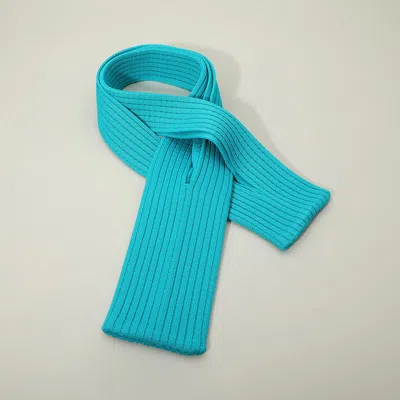 Fashnzfab Long Ribbed Knit Stretch Phone Pouch Phone Holder In Blue