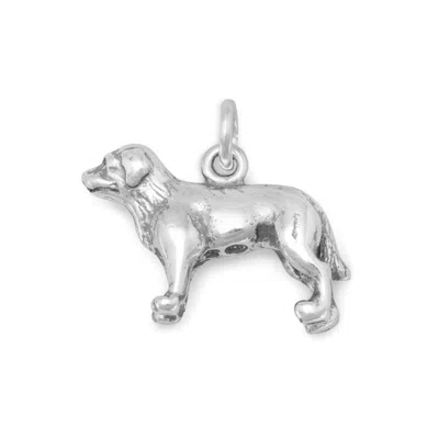 Fashnzfab Loving Labrador! Oxidized 3d Standing Labrador Dog Charm In Red